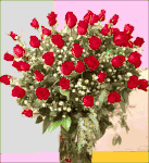 4 Dozen Red Roses