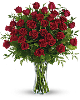 Breathtaking Beauty - 3 Dozen Long Stemmed Roses