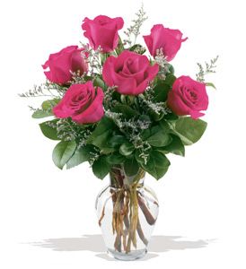 6 Hot Pink Roses