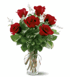 6 Red Roses Just because