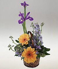 A basket arrangement for a baby boy.