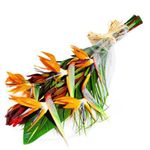 A birds of PARADISE bouquet