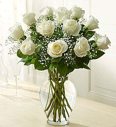 A dozen white rose