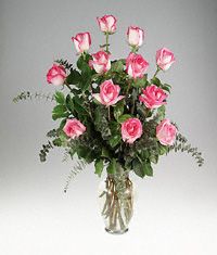 A Dozen Bi-Color Pink Roses