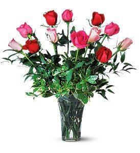 A Dozen Multi-Colored Roses 