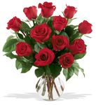  A Dozen Premium Red Roses