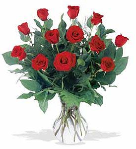 A Dozen Premium Red Roses Valentines