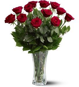 A Dozen Premium Red Roses Flowers 