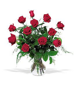 A Dozen Red Rose Arrangement