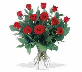 A Dozen Red Roses 