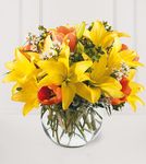 All Is Bright™ Bouquet All Is Bright™ Bouquet