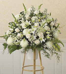 All-White Sympathy Standing Spray 