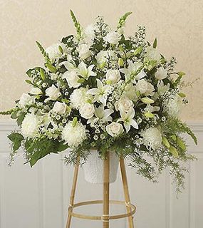 All-White Sympathy Standing Spray 