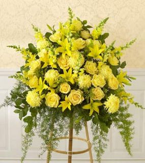 All-Yellow Sympathy Standingm spray