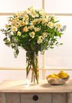 Altromeria Bouquet Mixed Flower Altromeria Bouquet Mixed Flower