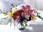 Angelique Bouquet Angelique Bouquet