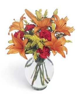 Asiatic lilies