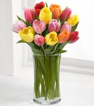 Assorted Tulip Bouquet Assorted Tulip Bouquet