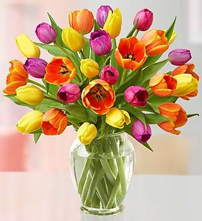 Assorted Tulips, 