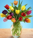 Assorted Tulips Assorted Tulips