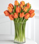 Autumn Fire Tulip Bouquet Autumn Fire Tulip Bouquet