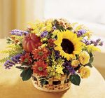 Autumn Medley Autumn Medley