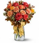 Autumn Roses  Autumn Roses