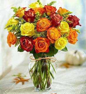 Orange Roses 
