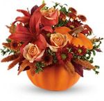 Autumn's Joy by Teleflora Flowers Autumn's Joy by Teleflora Flowers