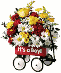 Baby's First Wagon Bouquet (Boy or Girl) Baby's First Wagon Bouquet (Boy or Girl)