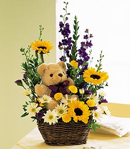 Basket  Bear Arrangement
