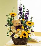 Basket Bear Arrangement Basket Bear Arrangement