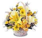 Basket Bright & Cheerful Basket Bright & Cheerful