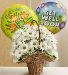 Basket Full of Daisies 