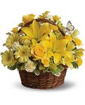 Basket Full of Wishes Basket Full of Wishes