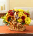 Basket of Autumn  Basket of Autumn