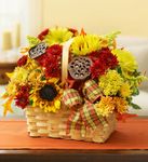 Basket of Autumn  Basket of Autumn