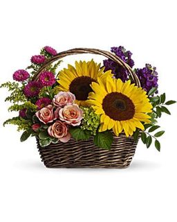 Basket Sunflower