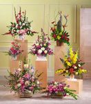  Irving Flower Sympathy Baskets 