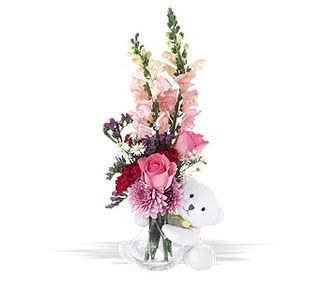 bear hug bear with pink roses large