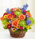 Beautiful Basket Beautiful Basket