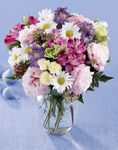Beloved Bouquet Beloved Bouquet