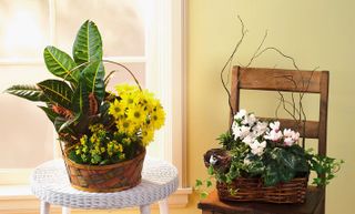 Bird's Nest Basket Gaden 