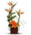 Birds Of Paradise Arrangement
