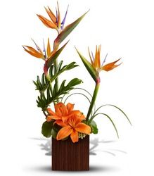 Birds Of Paradise Arrangement