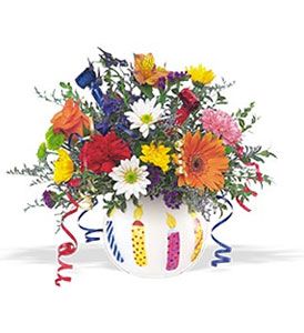 Birthday Celebration