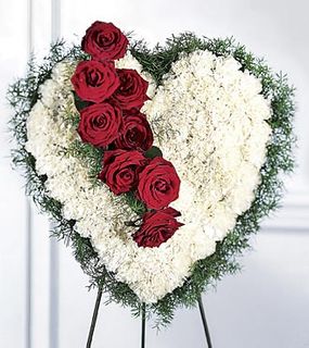 Bleeding Heart