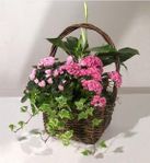 Blooming Gift Basket Blooming Gift Basket