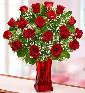 Happy Valentine's Day Blooming Love Red Roses in Red Vase