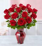 Blooming Love- Roses Blooming Love- Roses